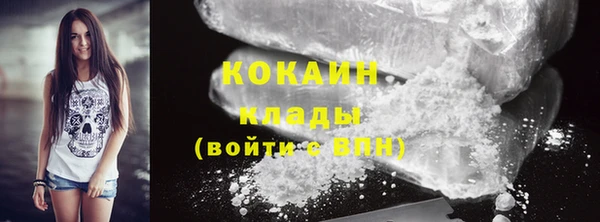 гашик Магас