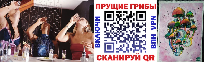 цена   Щигры  Галлюциногенные грибы мухоморы 